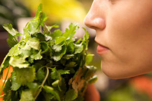 Mindful-Eating-E-kurs