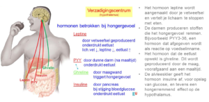 hormtekst