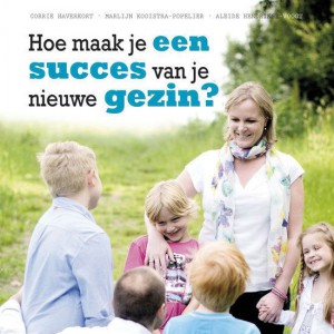 stiefplan boek